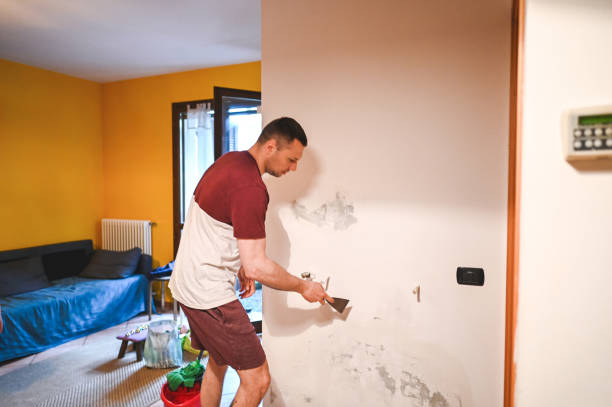 Best Fast Mold Removal  in Lincoln, MT
